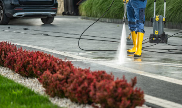 Best Building Exterior Washing  in Newton, AL