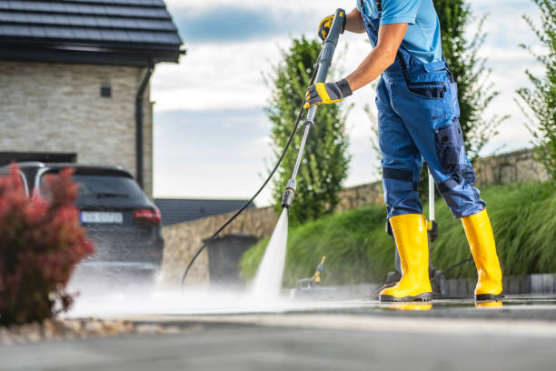 Best Driveway Pressure Washing  in Newton, AL